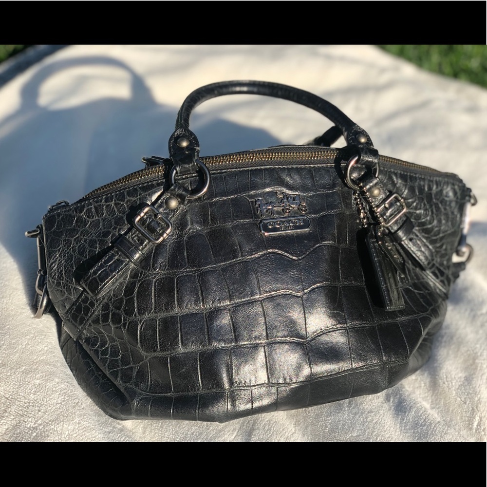 Coach Ashley Crocodile Leather Satchel
